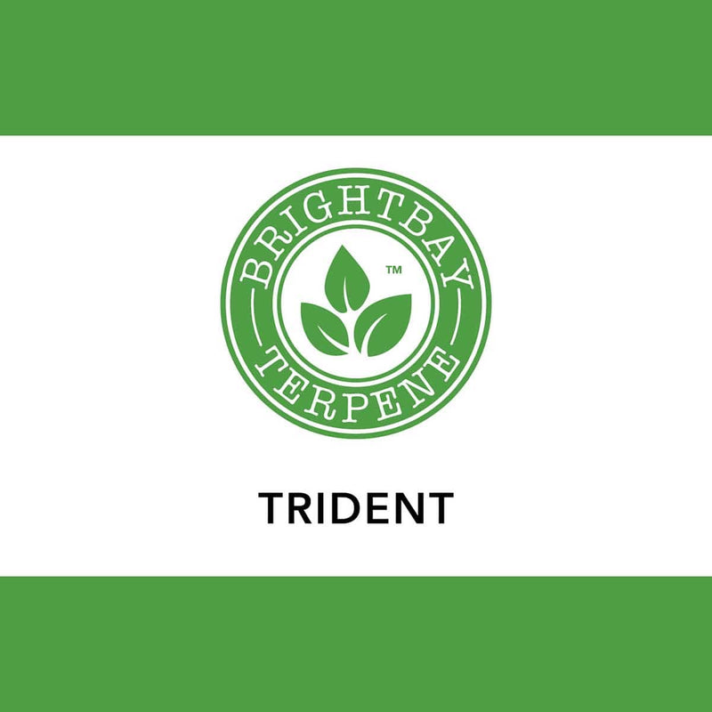 BrightBay Terpenes Trident Terpene